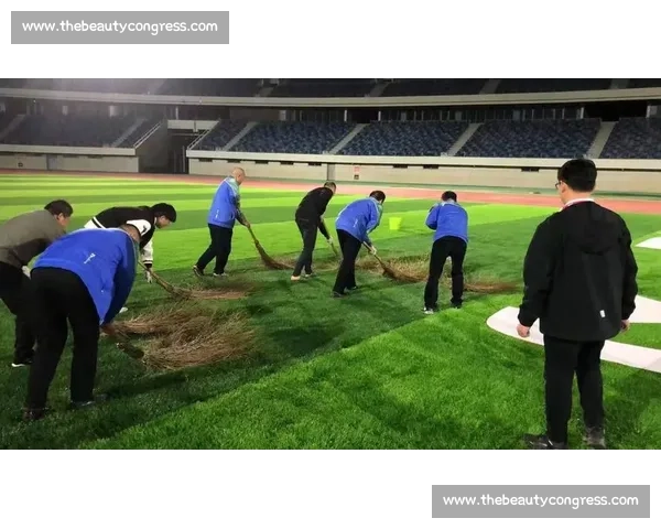 构建大型体育赛事安全管理与应急预案体系研究优化路径与实践探索