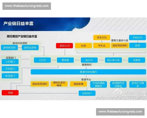 电竞话题传播对年轻群体行为和社会文化的深远影响分析